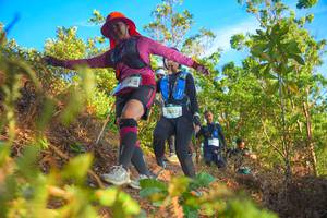 BIB: 2442
                            <button type="button" onclick="openModal(21842056)" class="btn btn-primary btn-sm float-right btn-popup" data-toggle="modal" data-target=".modal-high-quality">
                        <i class="fas fa-shopping-cart"></i> Add to Cart
                    </button>
                                            <button type="button" onclick="isThisMe(21842056, true)" class="btn btn-success btn-sm float-right btn-popup btn-isme hidden" data-toggle="tooltip" data-placement="bottom" title="นี่คือรูปของคุณใช่ไหม คลิกที่นี่เพื่อเอาเข้าอัลบั้ม">
                        <i class="fas fa-plus"></i> Add to album
                    </button>
                    <button type="button" onclick="isThisMe(21842056, false)" class="btn btn-warning btn-sm float-right btn-popup btn-isnotme hidden">
                        <i class="fas fa-ban"></i> Remove from album
                    </button>